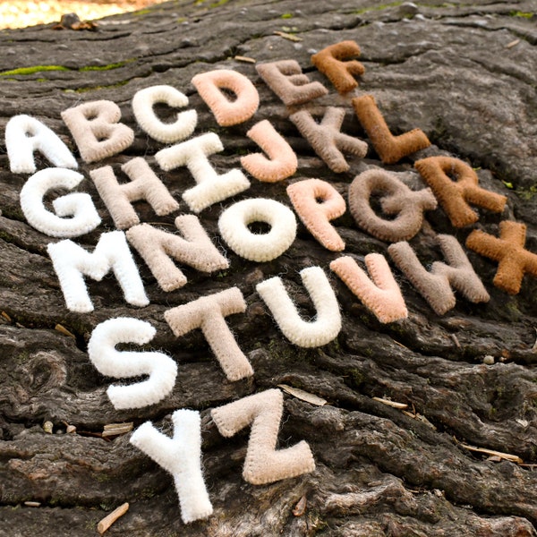 Lettres majuscules de l'alphabet en feutre dans des couleurs naturelles