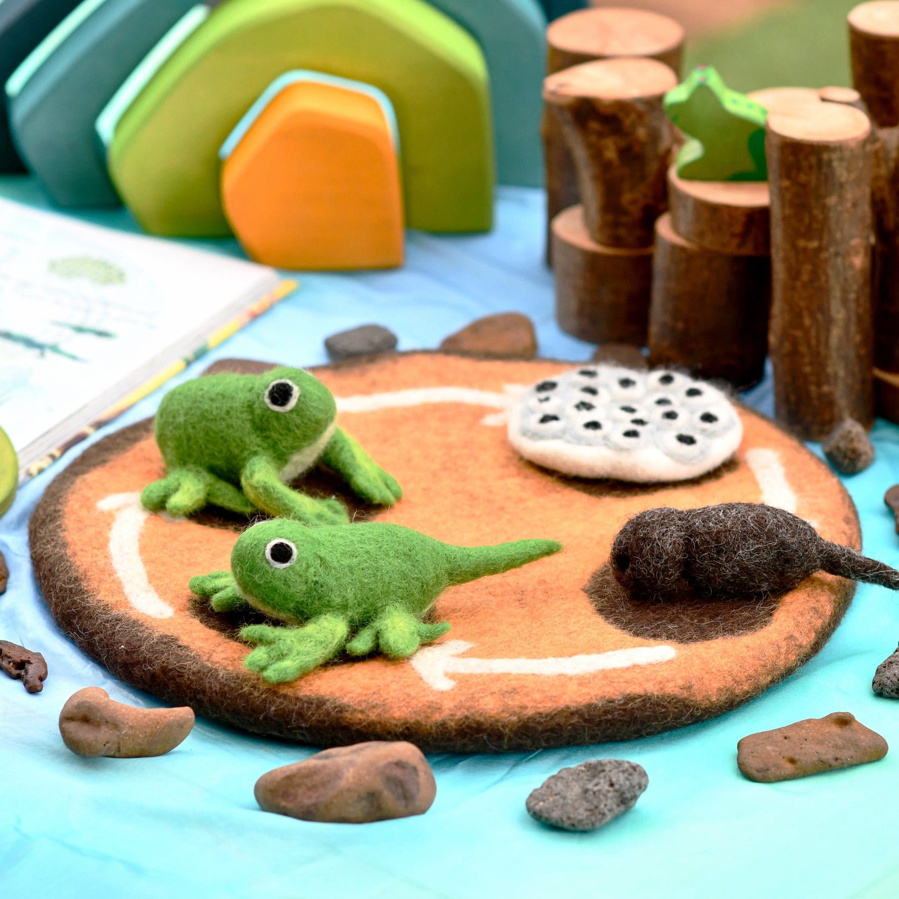 Frog Life Cycle Set 5 Piezas, crecimiento Diario Cifras Modeloa de ayudas educativas Juguetes | ES