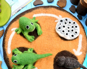 Felt Lifecycle of a Frog: Frog Life Cycle Toy, STEM toy, Waldorf Inspired Toy