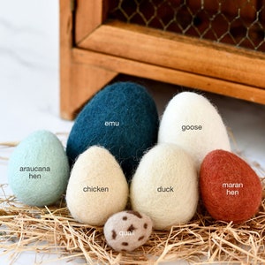 May include: A collection of felt eggs in various colors and sizes, representing different types of birds. The eggs are arranged in a nest of straw. The eggs are labeled with the names of the birds: emu, goose, araucana hen, chicken, duck, maran hen, and quail.
