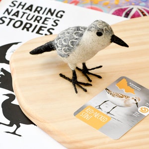 May include: A felt bird figurine of a Red-necked Stint, a small shorebird, on a wooden surface. The bird is gray and white with black legs and a black beak. A card with information about the Red-necked Stint is also on the surface. The card includes a map of the bird's distribution, its diet, and other information. The text on the card reads "Red-necked Stint", "Distribution Red-necked Stint", "Diet Mollusc Worms", "Habitat Coast", and "Parks Victoria".