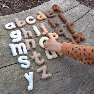 Felt Alphabet Small Letters - Earthy Colours