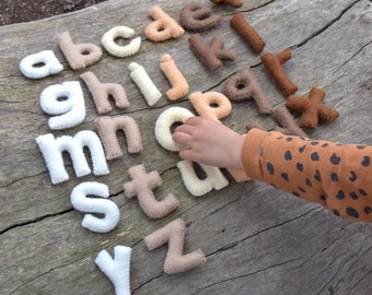 Felt Alphabet Small Letters - Earthy Colours