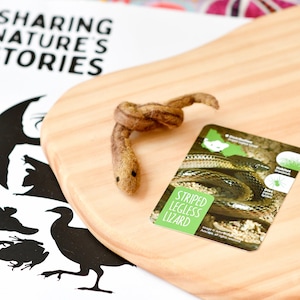 Op de afbeelding: Een bruin vilten slangen speelgoed met een knoop in het midden, liggend op een houten oppervlak. Een kaart met de tekst "Gestreepte pootloze hagedis" is zichtbaar op de achtergrond.