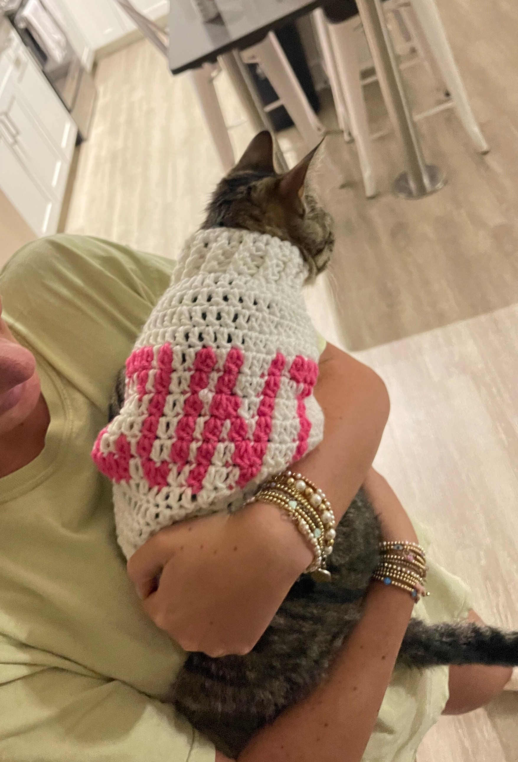 Custom Graphic cnt Cat Sweater - Etsy