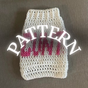 PATTERN PDF Graphic Crochet &quot;C*nt&quot; Cat Sweater