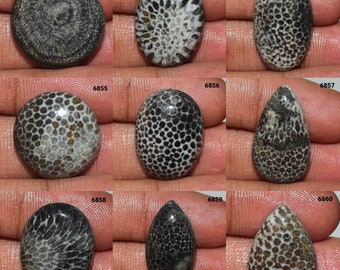 Outstanding Designer Black Fossil Coral Gemstone, Natural Fossil Coral cabochon, Black Fossil Coral, Fossil Coral Use Jewelry, Fossil Coral,