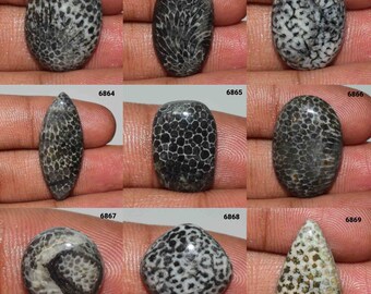 Outstanding Designer Black Fossil Coral Gemstone, Natural Fossil Coral cabochon, Black Fossil Coral, Fossil Coral Use Jewelry, Fossil Coral,