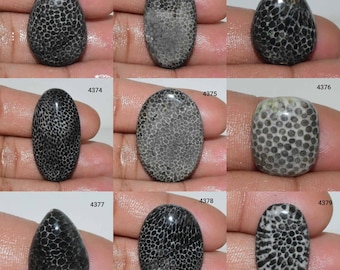 Genuine Designer Black Fossil Coral Gemstone, 100% Natural Fossil Coral cabochon, Black Fossil Coral, Fossil Coral Use Jewelry, Fossil Cora