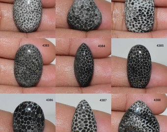 Outstanding Designer Black Fossil Coral Gemstone, Natural Fossil Coral cabochon, Black Fossil Coral, Fossil Coral Use Jewelry, Fossil Coral,