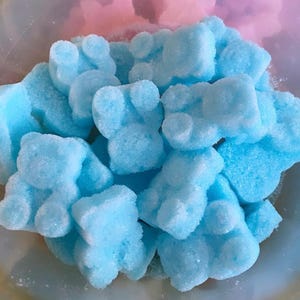 Teddy Bear Sugar Cubes (35)