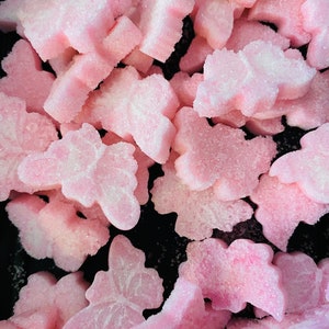 Sucre en forme de papillon (40)