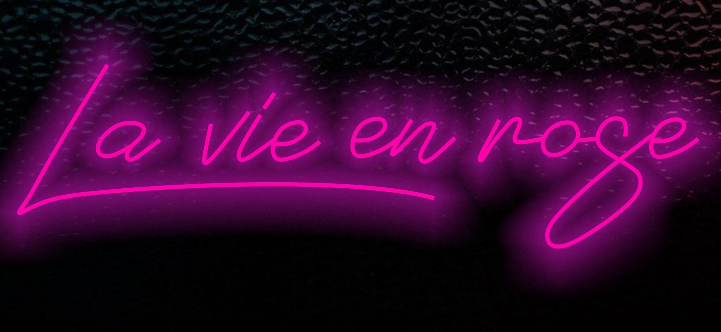 La Vie En Rose Neon Sign. La Vie En Rose Led Light La Vie En Etsy