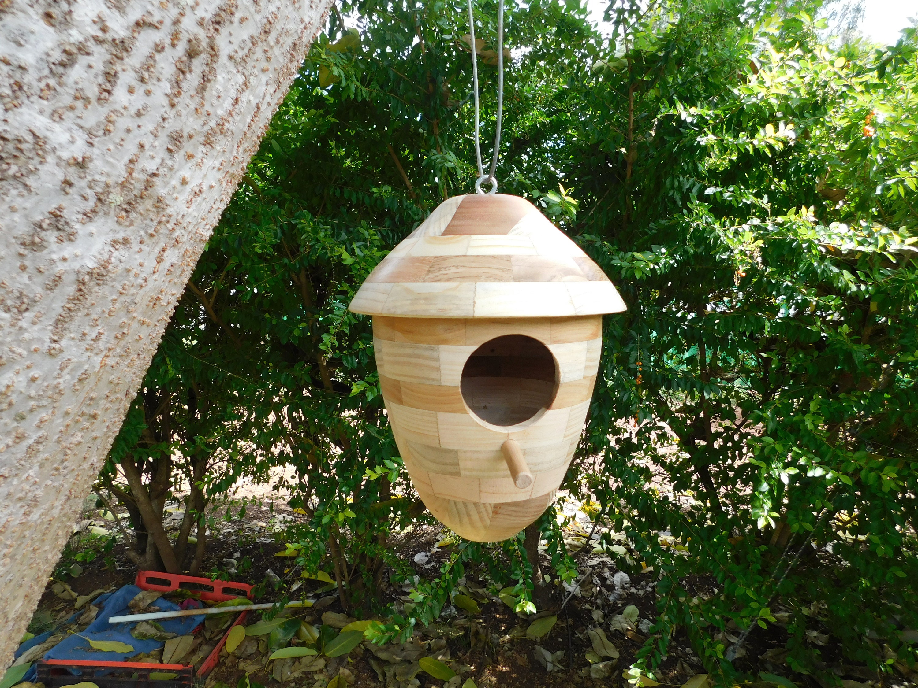 Hanging Birds Nest. Etsy Australia