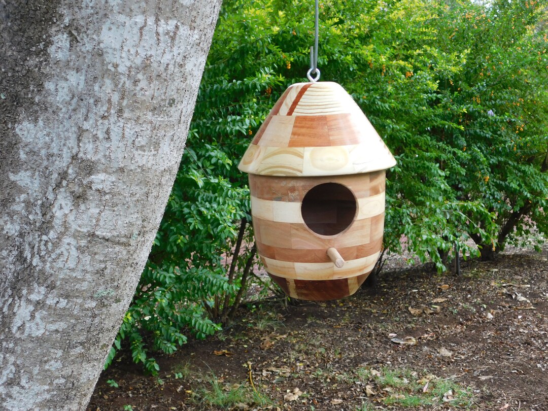 Hanging Birds Nest. Etsy Australia