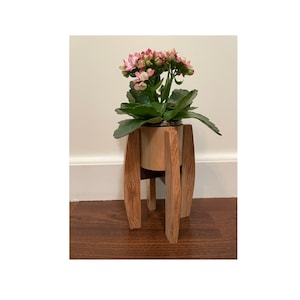 Blumenbeet