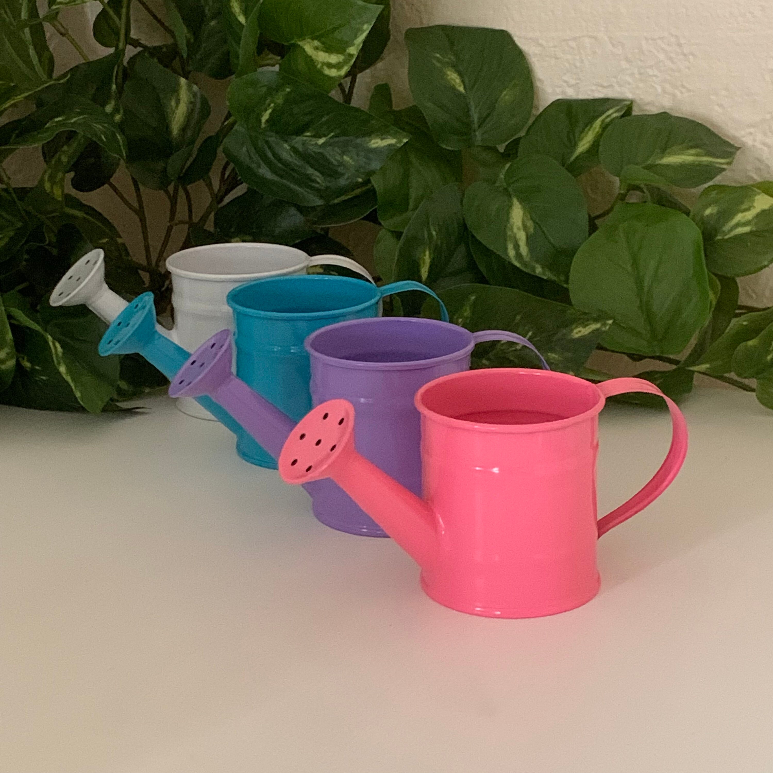 Guoxing Watering Can Gardening Hand Pressure Indoor Sprayer Florist