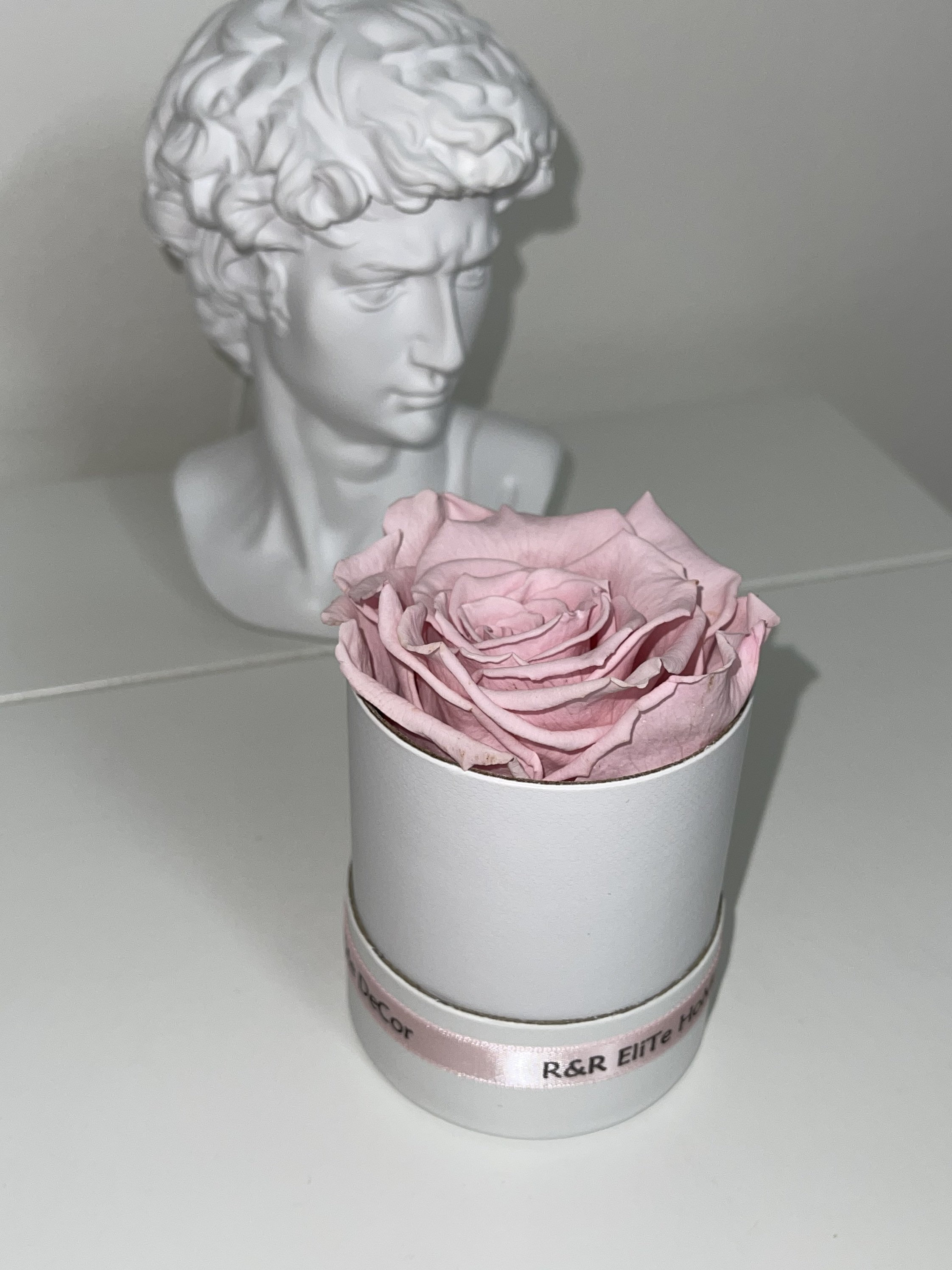 Year Long Roses Preserved Real Roses Birthday Gifts Etsy Year long roses preserved real roses birthday gifts etsy