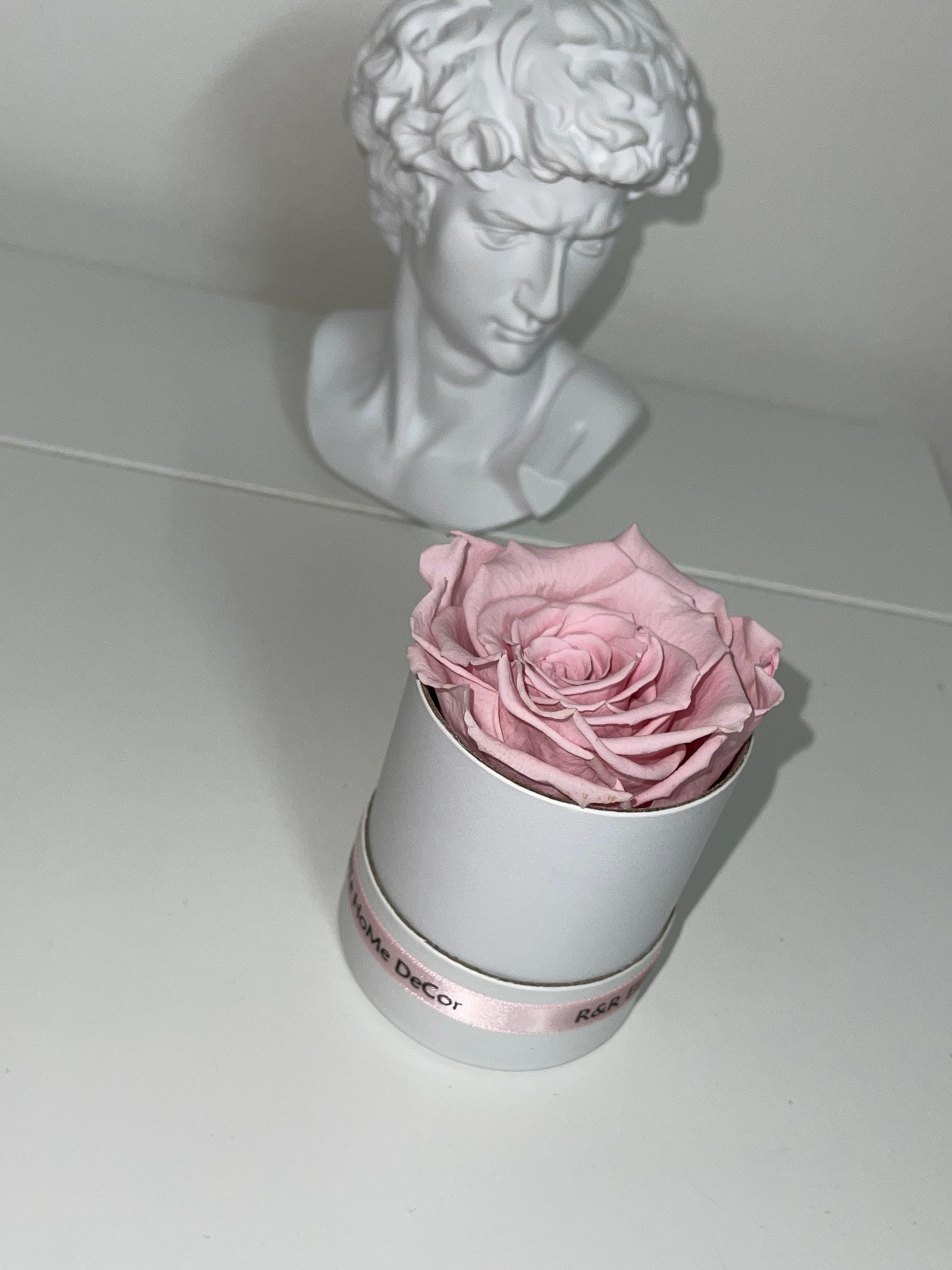 Year Long Roses Preserved Real Roses Mothers Day Gifts Etsy Year long roses preserved real roses mothers day gifts etsy