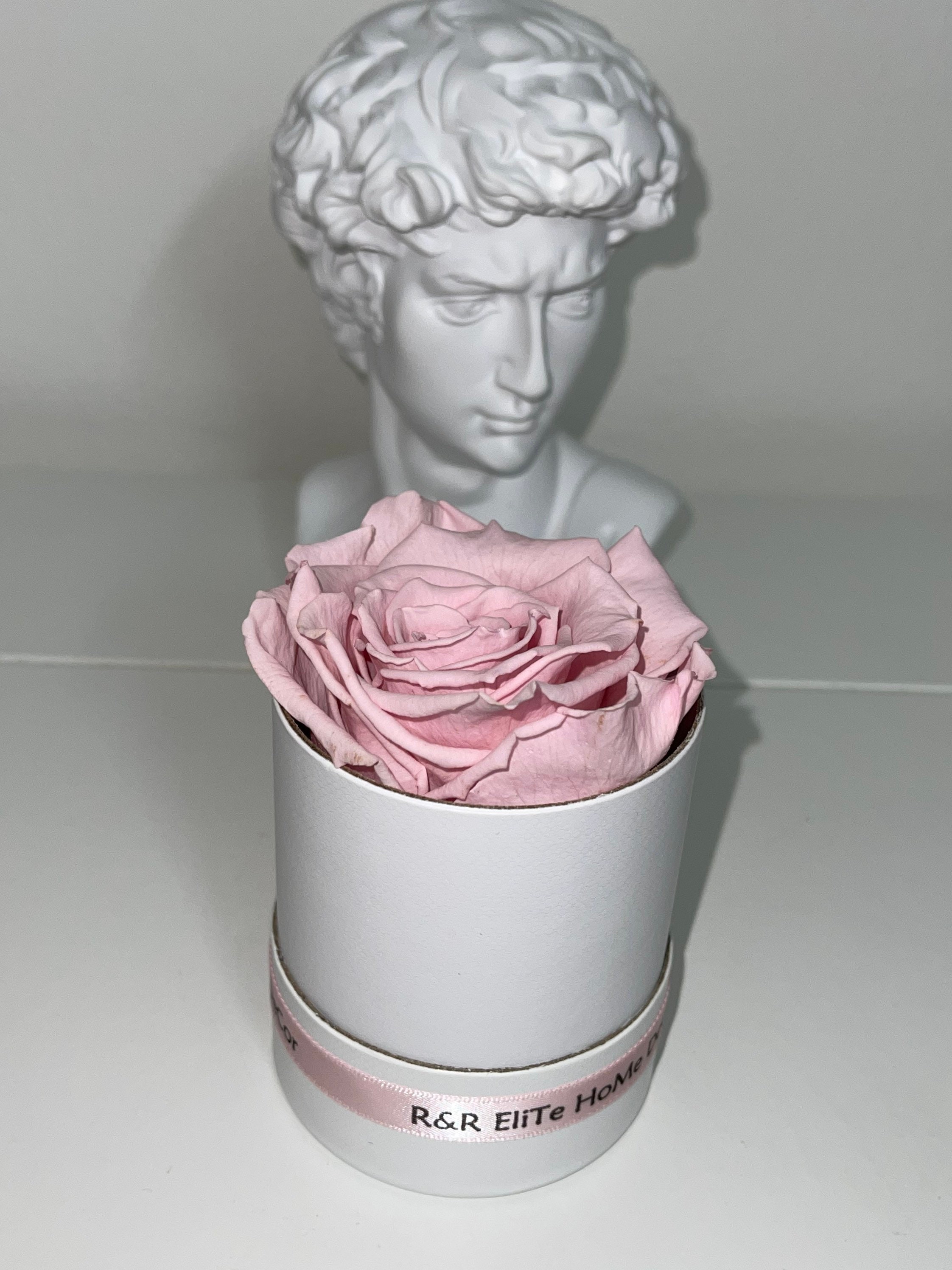 Year Long Roses Preserved Real Roses Mothers Day Gifts Etsy Year long roses preserved real roses mothers day gifts etsy
