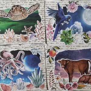animales, gatos - outlet de postales impresas - tus propios diseños