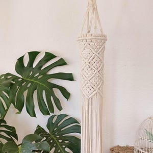 May include: Cream-colored macrame plant hanger with a diamond pattern and long fringe. The hanging planter is suspended against a white wall, with large green Monstera leaves in the foreground. A decorative touch for indoor plants.