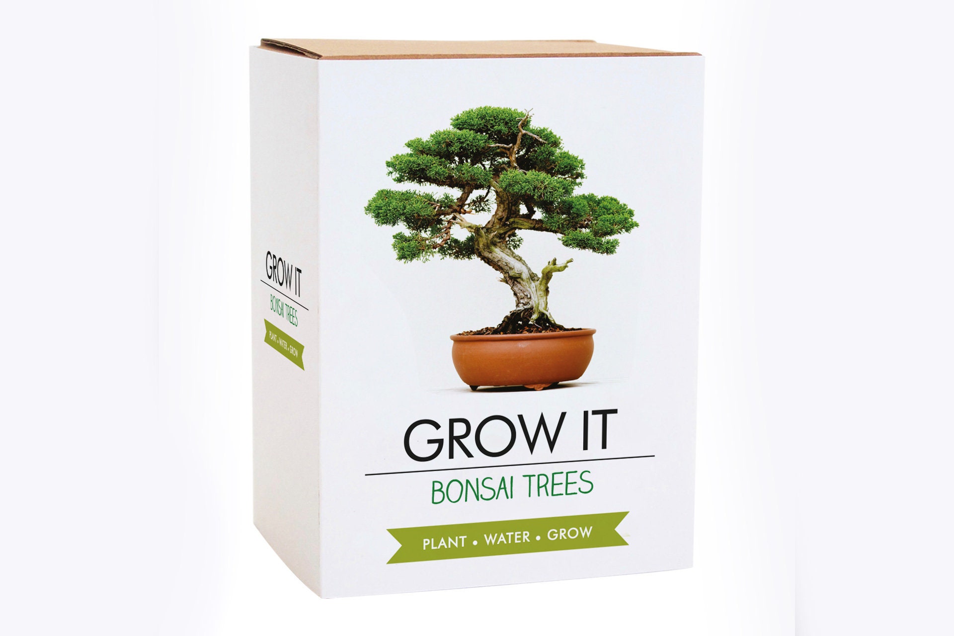 Grow It Bonsai Tree Grow It Kit Etsy UK