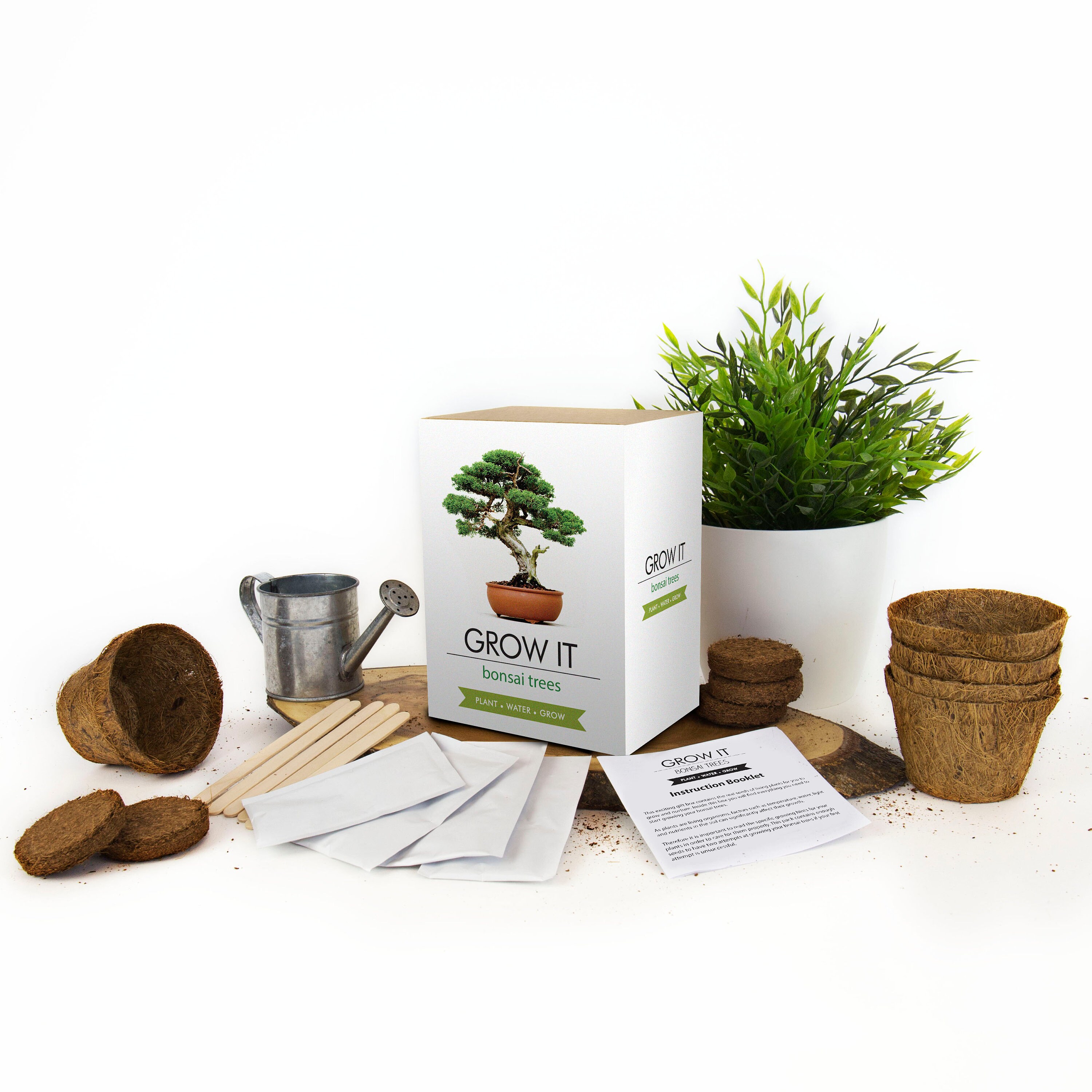 Grow It Bonsai Tree Grow It Kit Etsy UK