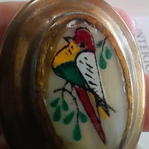 Op de afbeelding: Een ovale messing knoop met een witte achtergrond en een kleurrijke vogel illustratie. De vogel heeft een rode kop, een gele borst, groene vleugels en een wit-zwarte staart. De vogel zit op een tak met groene bladeren.