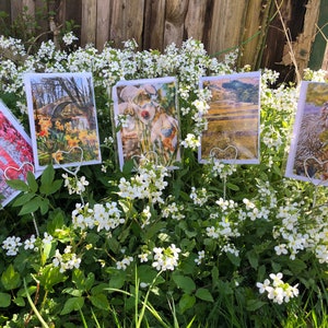 5 cartes à pression d'art Swaledale