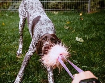 Fluffy tug toy for dogs