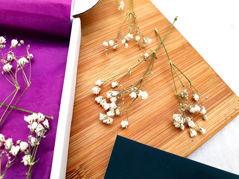 Dried Gypsophila Sprigs in White Aka Babys Breath Flowers Etsy UK