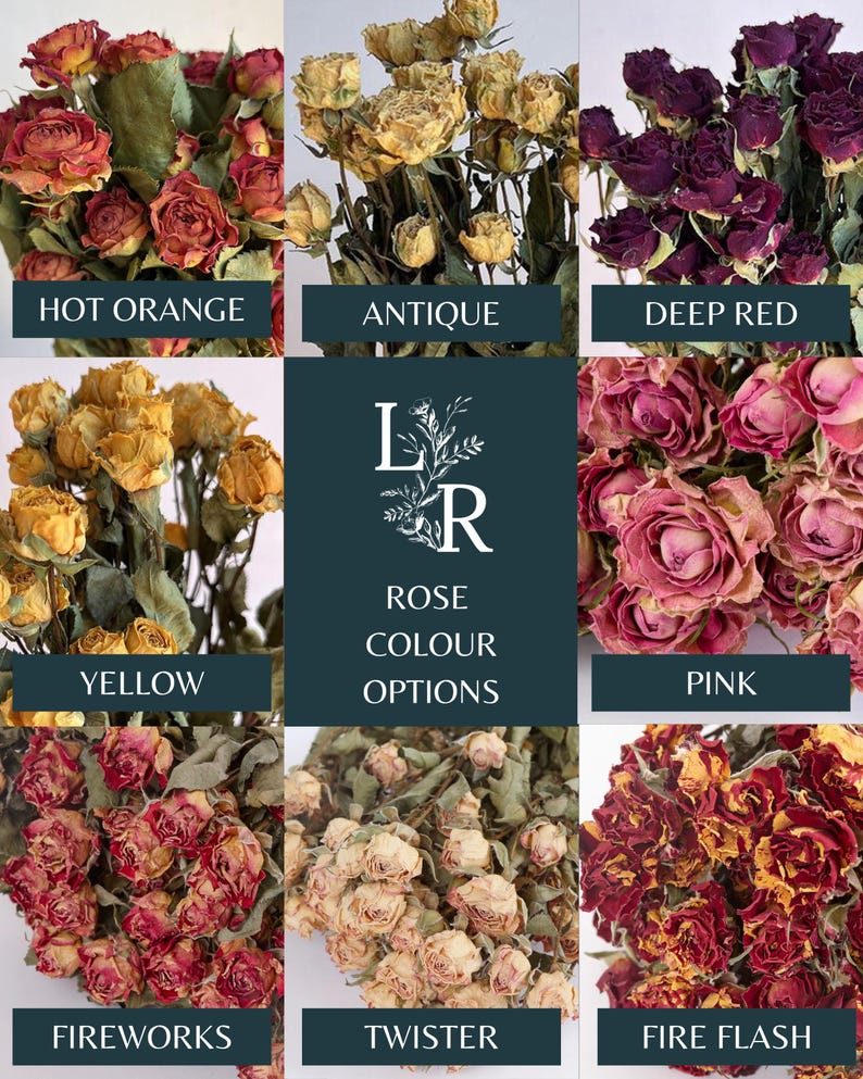 May include: Assortment of dried roses in various colors, including hot orange, antique, deep red, yellow, pink, fireworks, twister, and fire flash.  Rose color options.