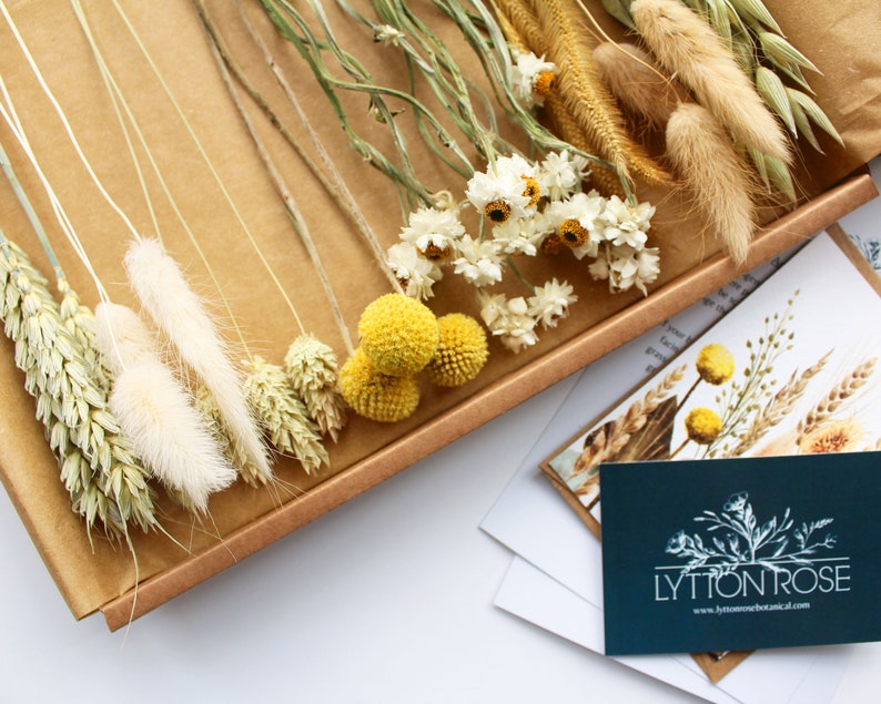 Dried Letterbox Flowers Vintage Style Stem Assortment in Etsy UK