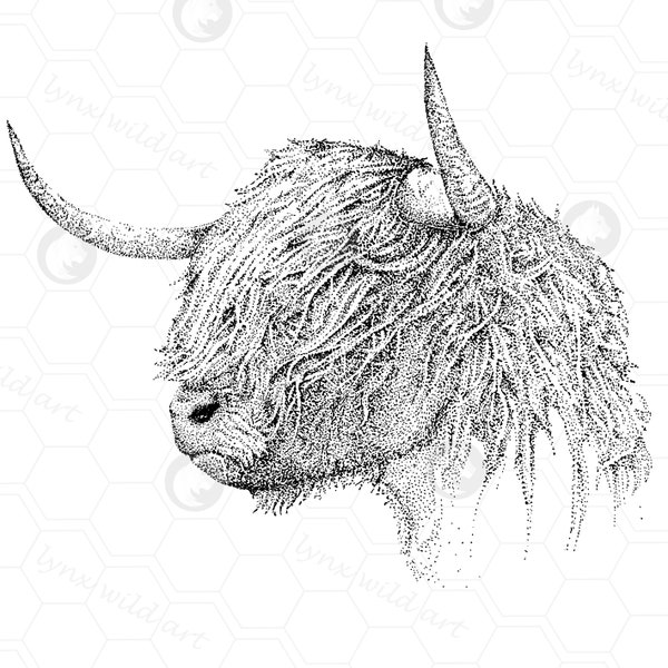 Highland, Highlandcow, Cow, Kuh, Highlandrind, Clipart, Kyloe, Highlandcattle, Scottish Highland, Inkdrawing, svg, dxf