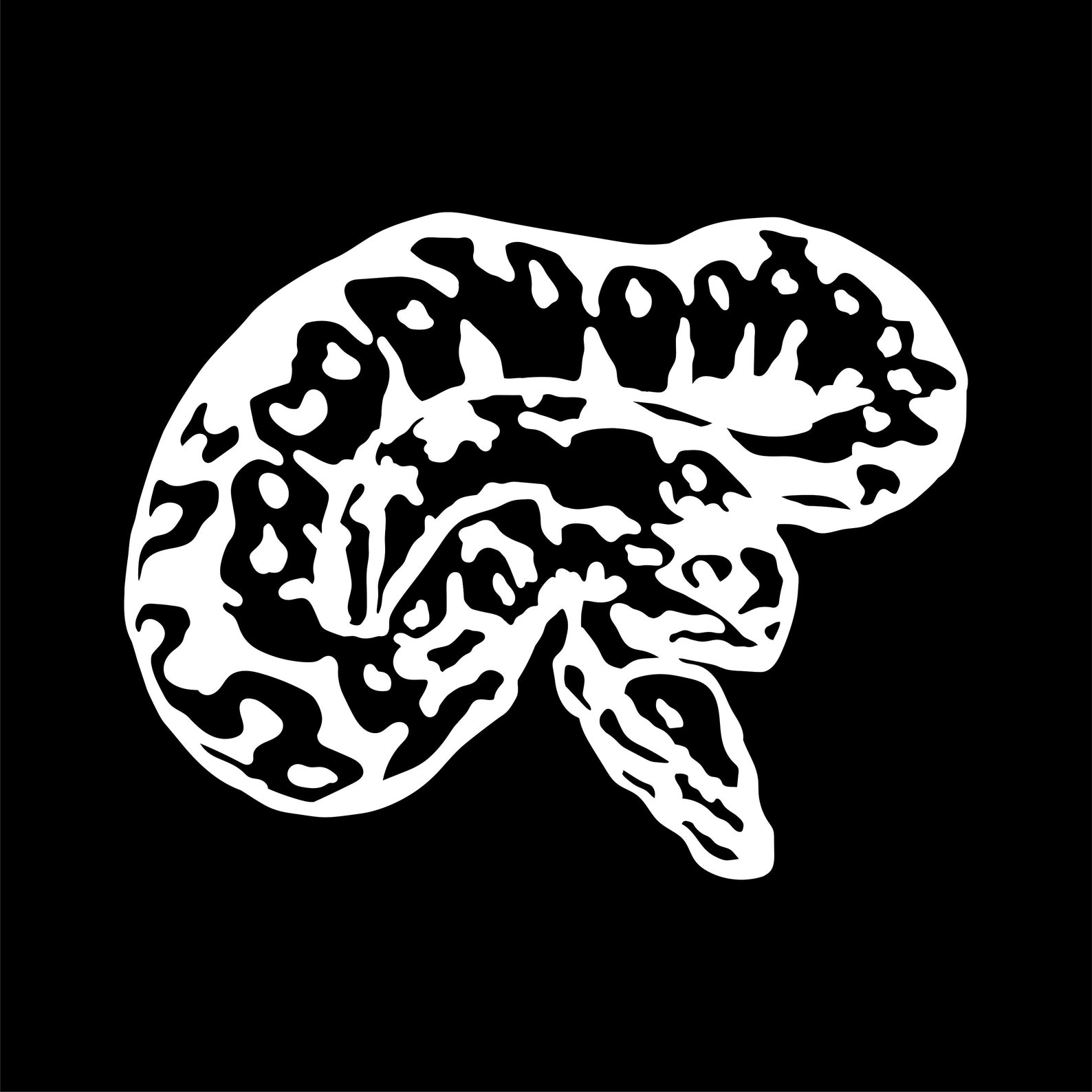 Ball Python SVG Snake vector Python vector Reptile Snakes | Etsy