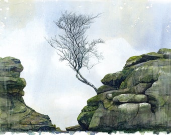 Life, a signed, fine art giclee print from a watercolour original, showing a rocky outcrop and silver birch at Yorkshire's Brimhan Rocks