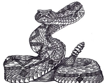 coiled rattlesnake drawing realism