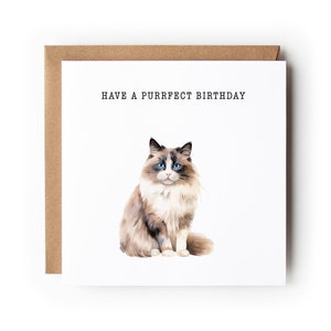 Carte d'anniversaire chat, carte drôle de chat, carte de voeux, carte d'anniversaire, carte pour amoureux des chats, carte pour elle, carte pour lui, chat ragdoll
