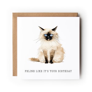 Carte d'anniversaire chat, carte drôle de chat, carte de voeux, carte d'anniversaire, carte pour amoureux des chats, carte pour elle, carte pour lui, chat de Birmanie