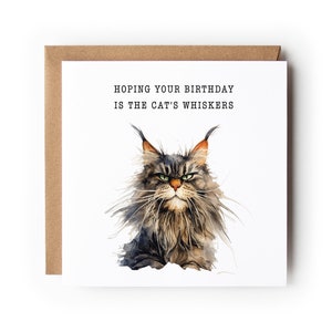 Carte d'anniversaire chat, carte drôle de chat, carte de voeux, carte d'anniversaire, carte pour amoureux des chats, carte pour elle, carte pour lui, chat Maine coon