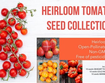 Collezione di pomodori cimelio - Impollinati apertamente, non OGM, non trattati con pesticidi