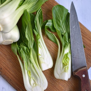 Pak Choi |  Cantong White |   Open Pollinated, Non GMO - 15 seeds/packet