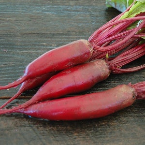 Organic Red Beetroot Seeds |&quot;Cylindra&quot; Beetroot Seeds | Heirloom, Open-pollinated, non GMO seeds | 30 seeds per pack