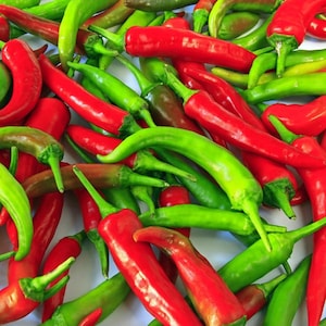 New Mexico 6 Chilli Pepper, Chilli Pepper, Hot Chilli | Heirloom, Open Pollinated, Non GMO |  10 seeds pack