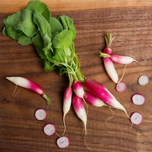 French Breakfast Radish Seeds Heirloom, Open Pollinated, Non GMO  40 seeds/packet