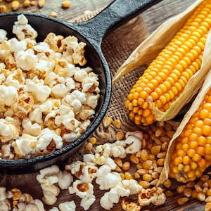 Popcorn Samen | Popping Corn Seeds | &quot;Plomyk&quot; Popcorn Samen | non GMO | 10 Samen pro Packung