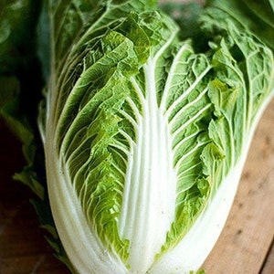 Organic Granaat Chinese Cabbage - Heirloom, Open Pollinated, Untreated, Non GMO