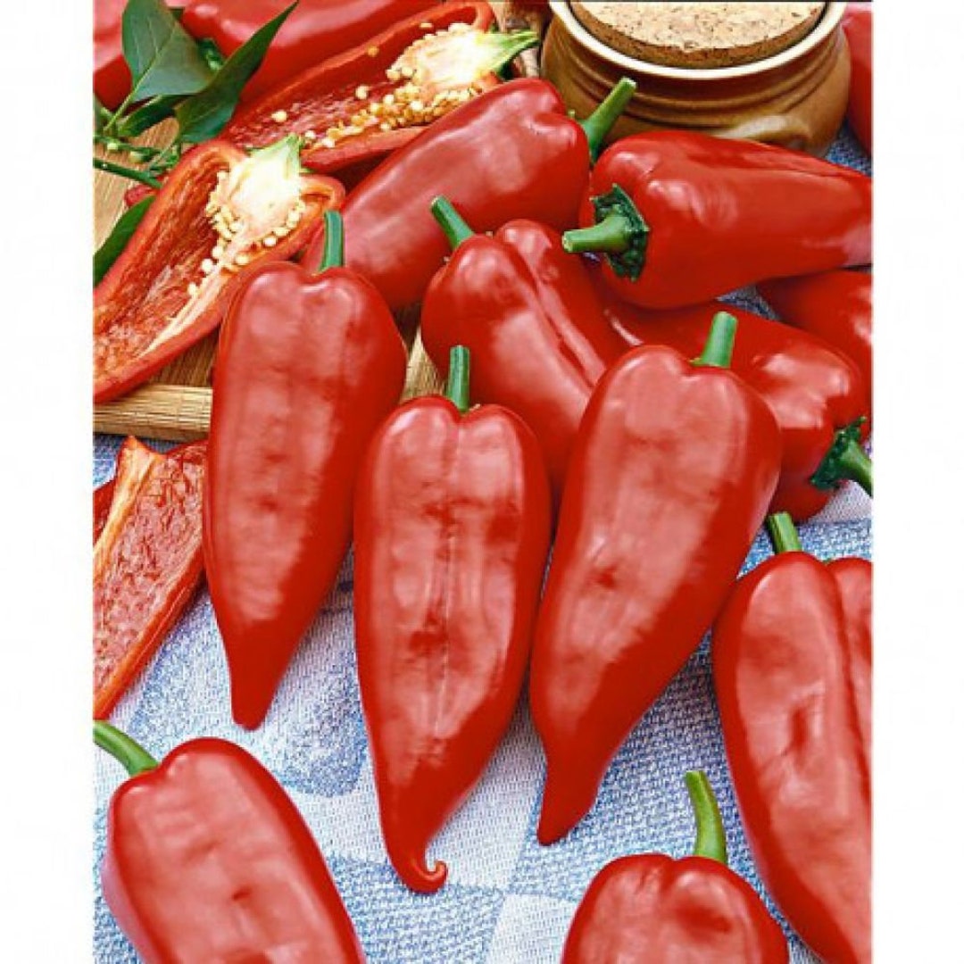 Organic Sweet Pepper, Hungarian Kapia Sweet Pepper, Kurtovska Kapia