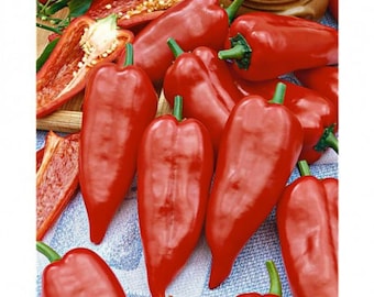 Pimiento dulce orgánico, pimiento dulce Kapia húngaro, Kurtovska Kapia, pimentón / tradicional, polinización abierta, sin OMG / 10 semillas/paquete